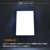 A型LEDライトパネル グリップ式 A1 片面 シルバー・ブラック lps-a1s