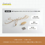 表札 ステンレス 英数字 店舗看板 DIY 戸建ておしゃれ 切り文字 ゴールド 門柱 玄関 かっこいい おしゃれ かわいい 小さいサイズ DIY ルームナンバー 番地 筆記体 手書き風 住所だけ sh-s0015